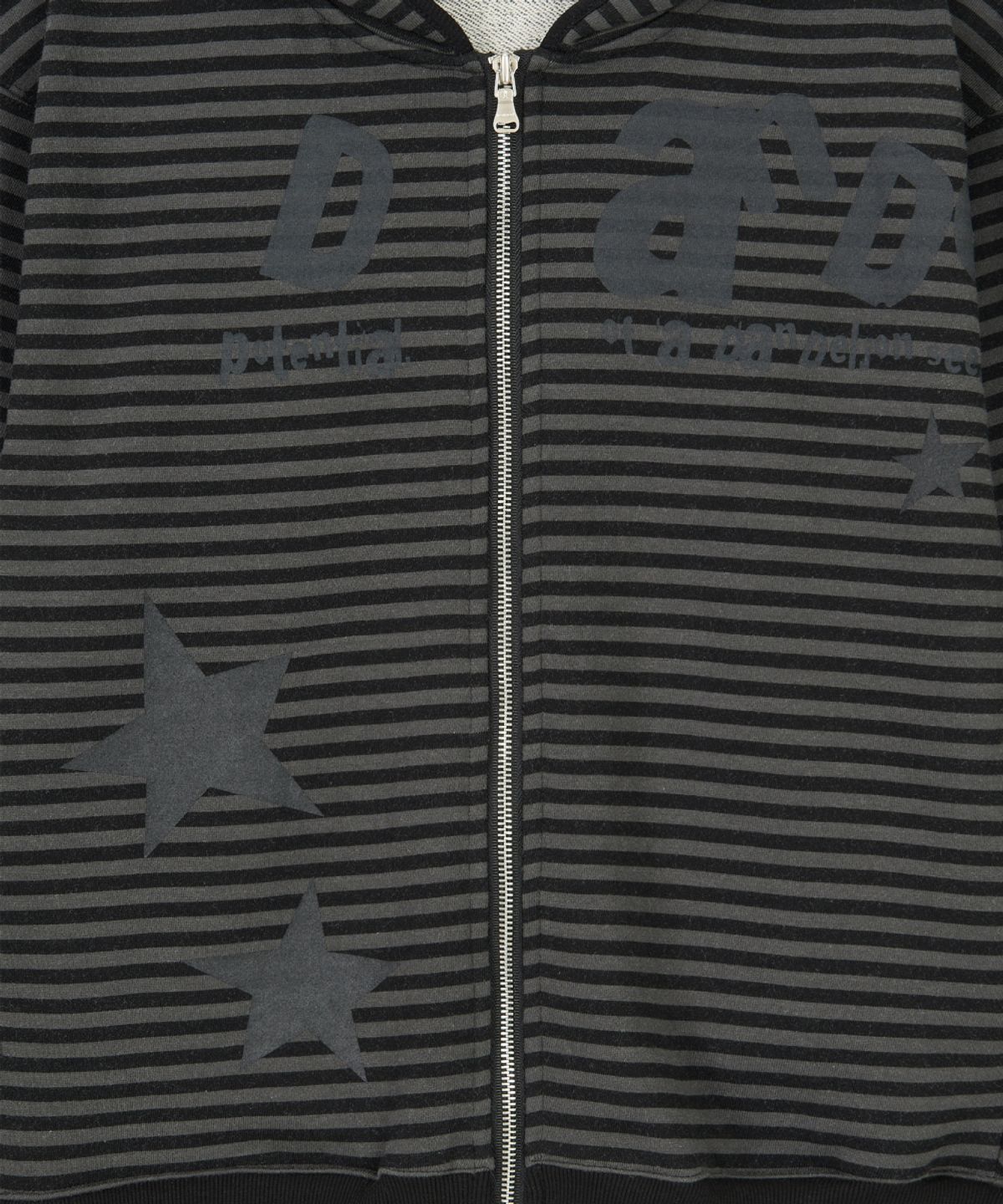 단델(DANDEL) DD type stripe hoodie zip-up (BLACK)