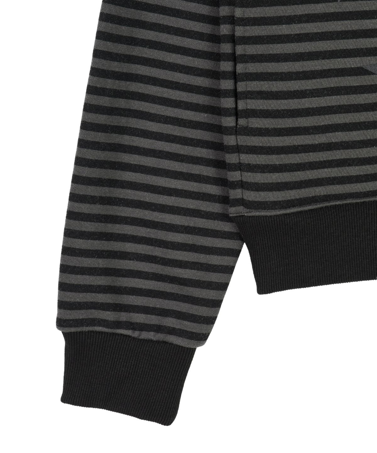 단델(DANDEL) DD type stripe hoodie zip-up (BLACK)
