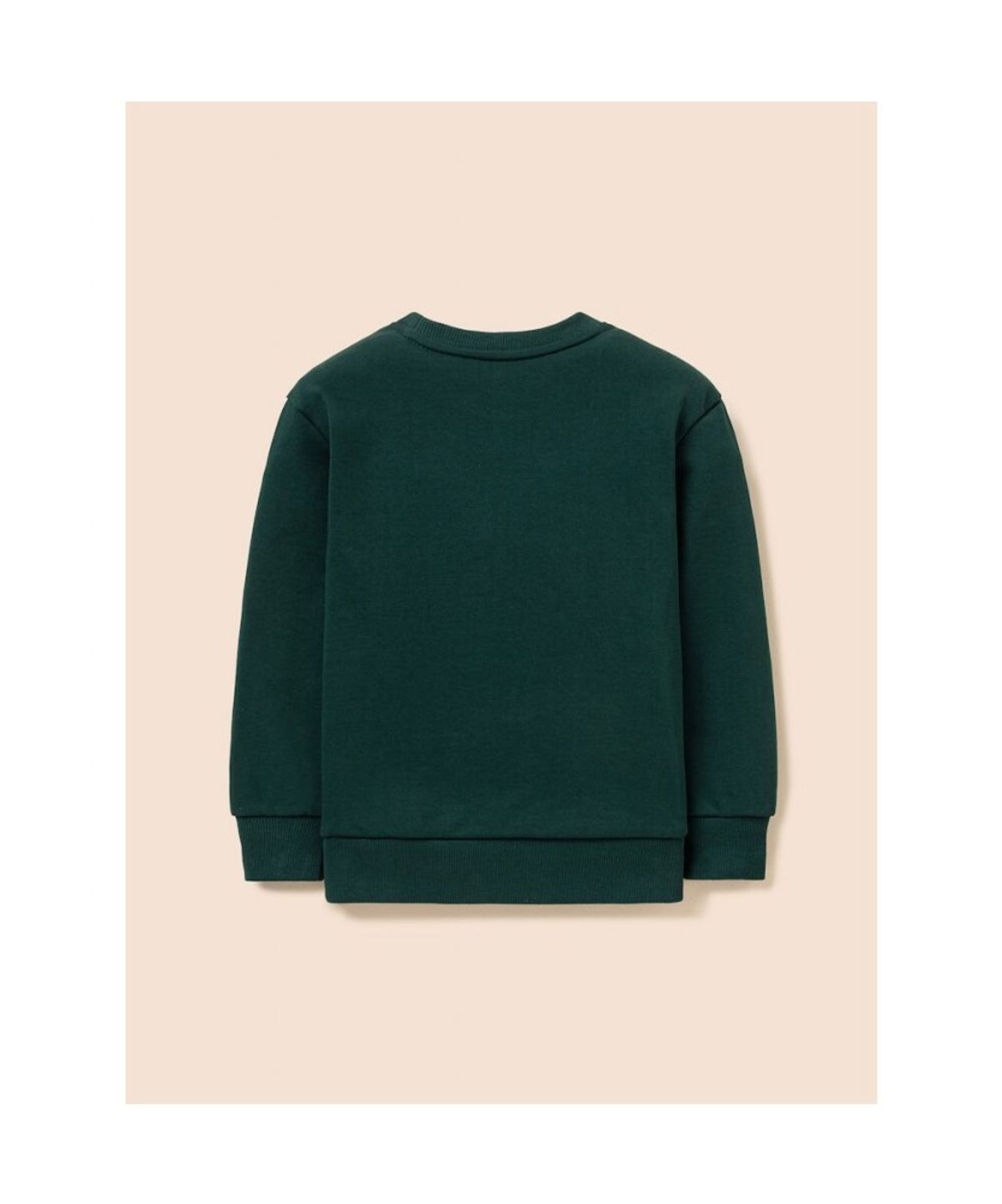 빈폴 키즈(BEANPOLE KIDS) [Essential] 스웨트 셔츠  그린 (BI5941UE1M)