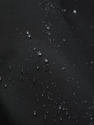 Thumbnail 13