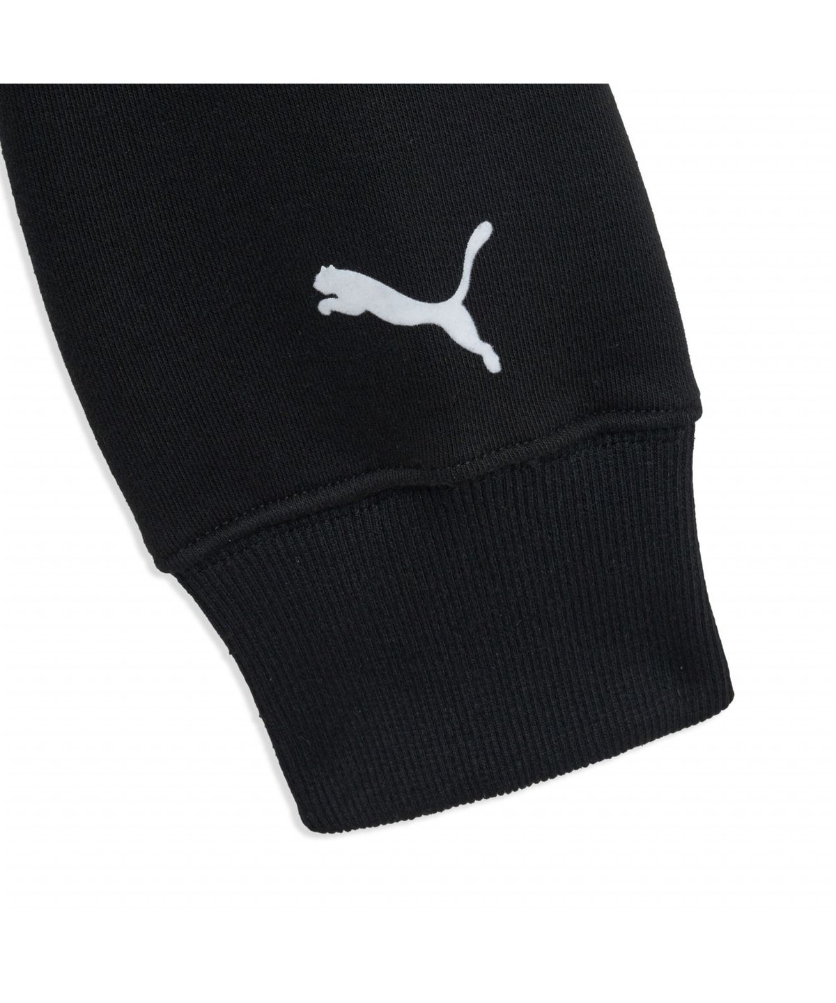 푸마(PUMA) [푸마 공식] 유니 스포츠 에센셜 후디 (95030803)