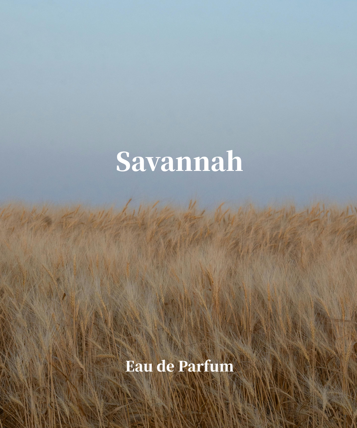 피닉스오리진(PHOENIX ORIGIN) 사바나 오 드 퍼퓸 - Savannah