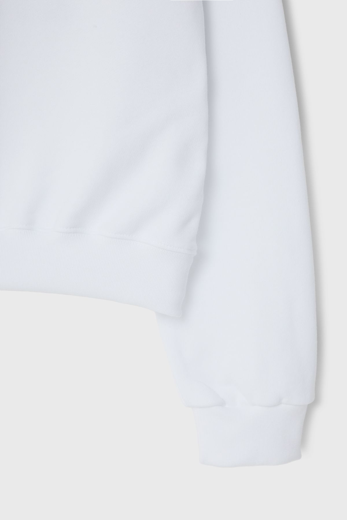 벌스데이수트(BIRTHDAYSUIT) [BDS X TGC] THE GRATEFUL CAMP SWEAT SHIRT (WHITE)