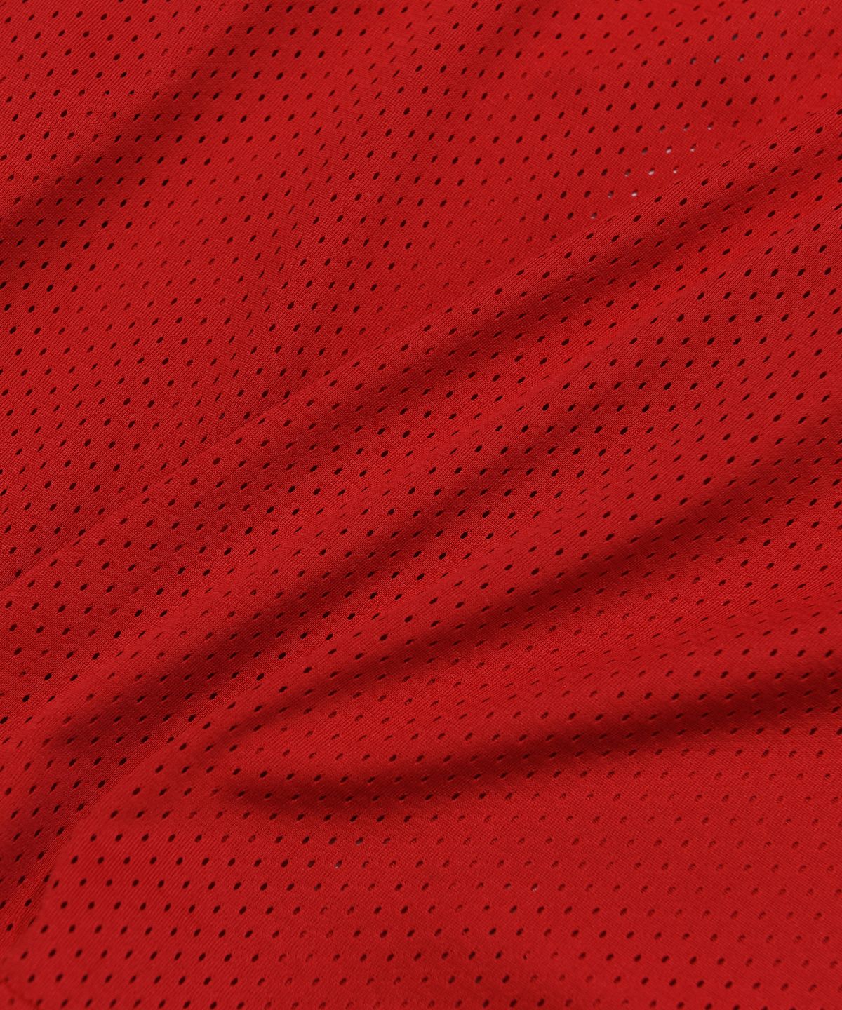 핍스 모터사이클(PHYPS MOTORCYCLE) Original Wing logo Mesh Long Sleeve Red