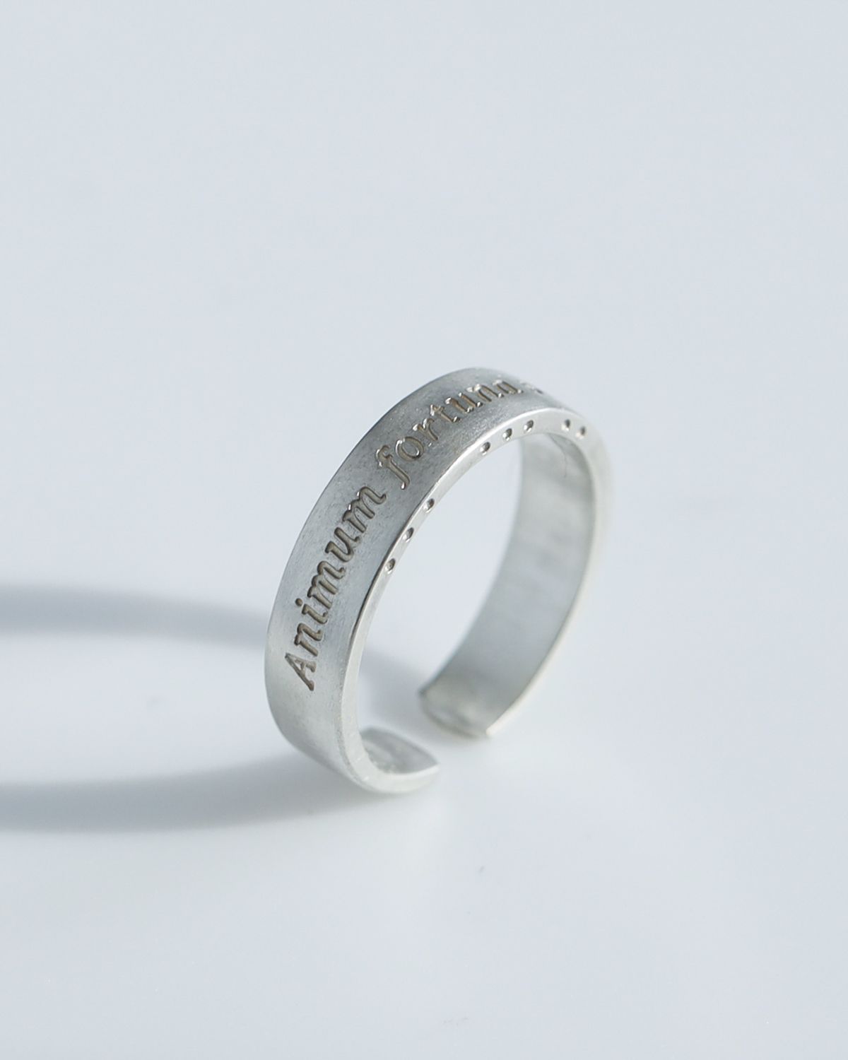 아트레브(ATTREVE) littera_AnimumFortuna_R_0061 [handmade][Silver925]
