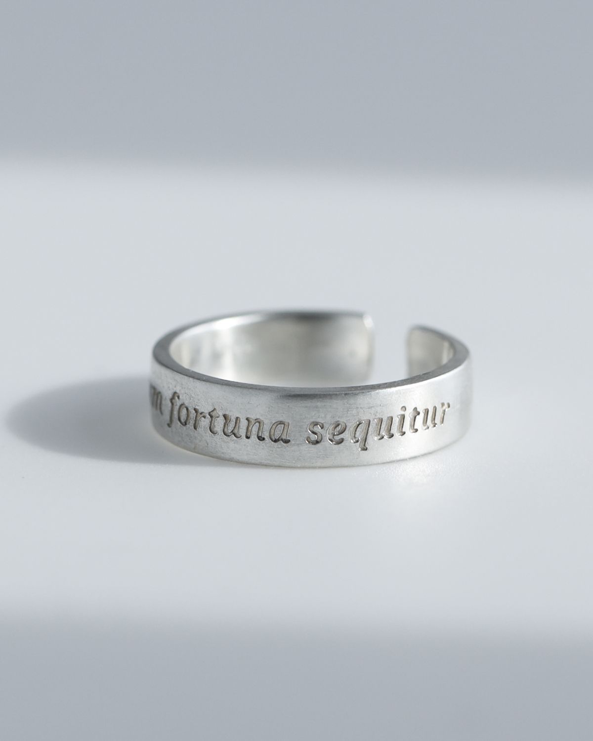 아트레브(ATTREVE) littera_AnimumFortuna_R_0061 [handmade][Silver925]