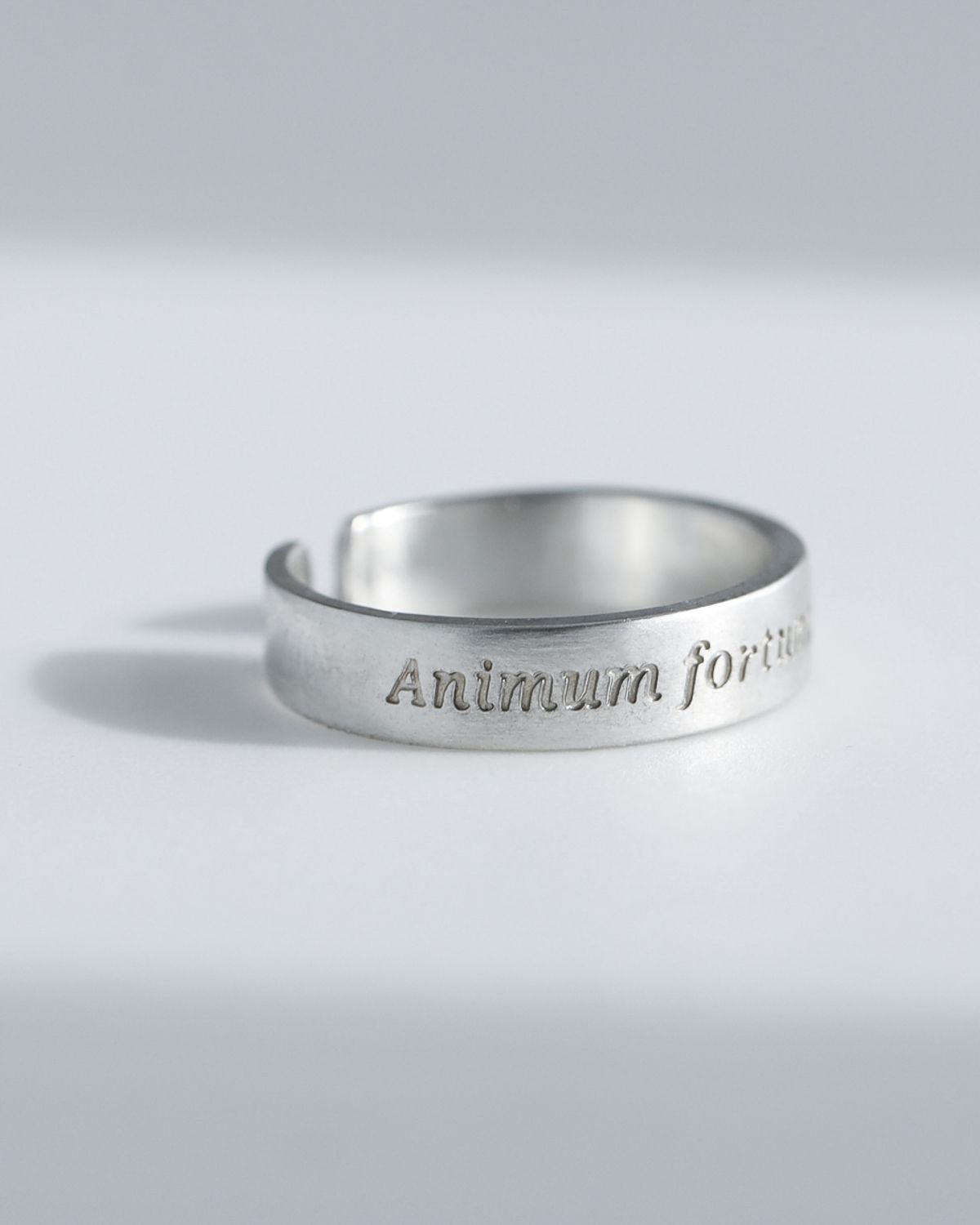 아트레브(ATTREVE) littera_AnimumFortuna_R_0061 [handmade][Silver925]