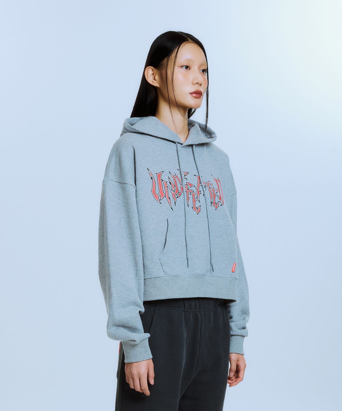 아카이브 볼드(ARCHIVE BOLD) UNDEFEATED CROP HOOD (GRAY)