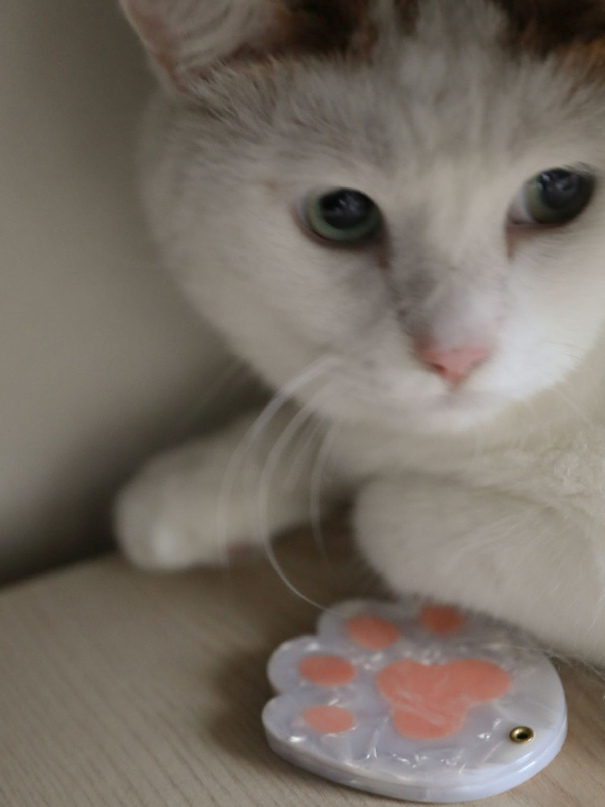 쿠쿠수제뜨(COUCOU SUZETTE) Cat Paw Mirror