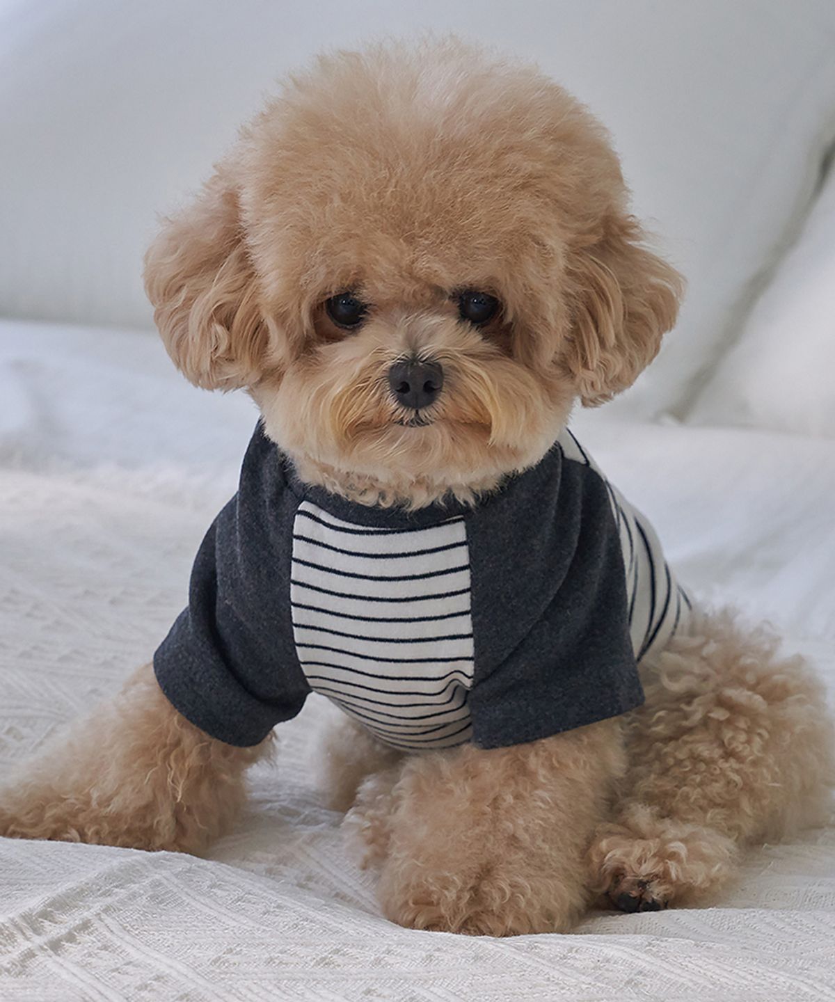 도그아이(DOGI) 강아지 포켓단가라 티셔츠 화이트