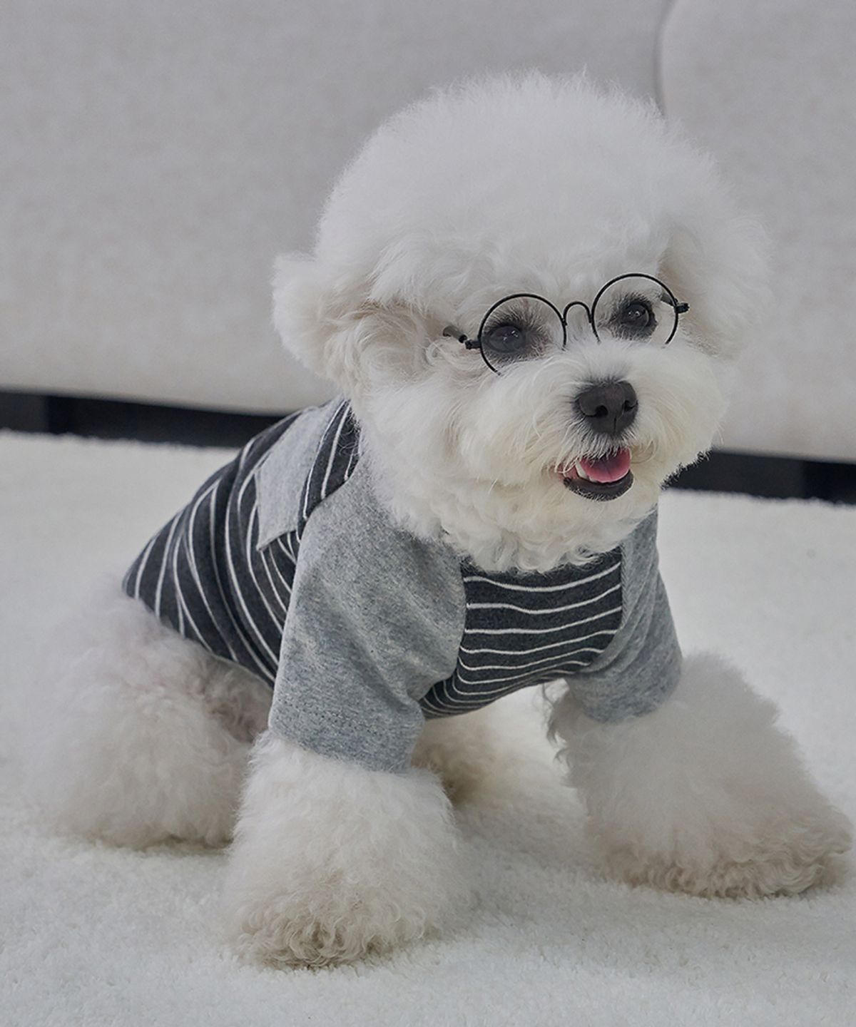 도그아이(DOGI) 강아지 포켓단가라 티셔츠 그레이