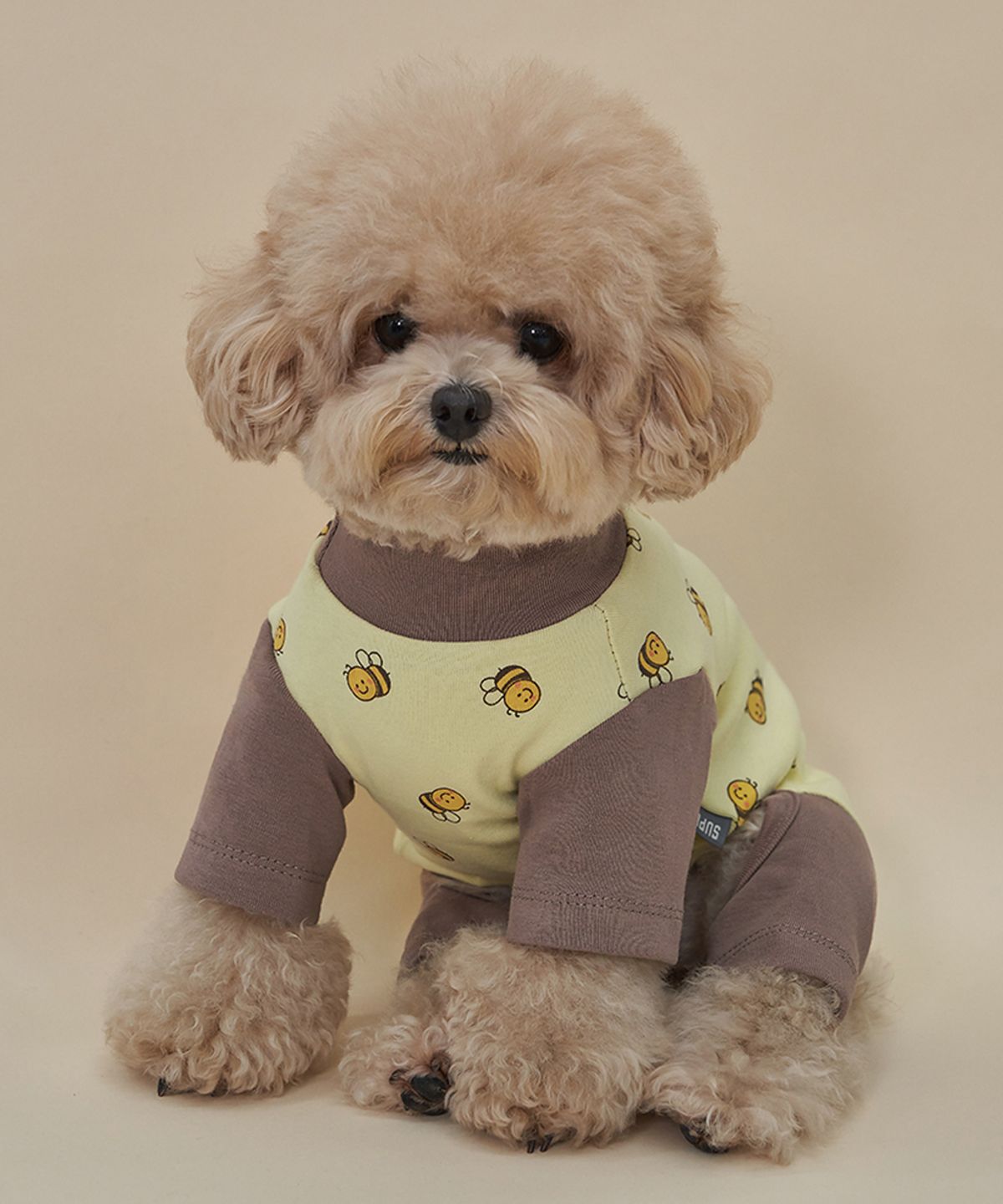 도그아이(DOGI) 강아지 베베 올인원 옐로우