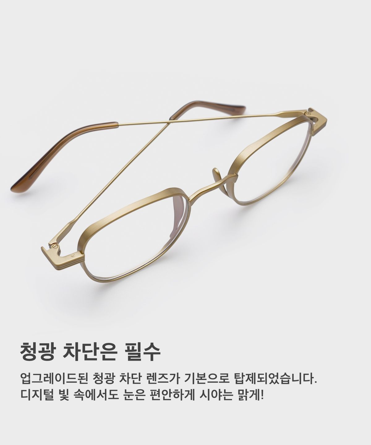 비브이에이치(BVH EYEWEAR) Air.30 c3 Matte Gold