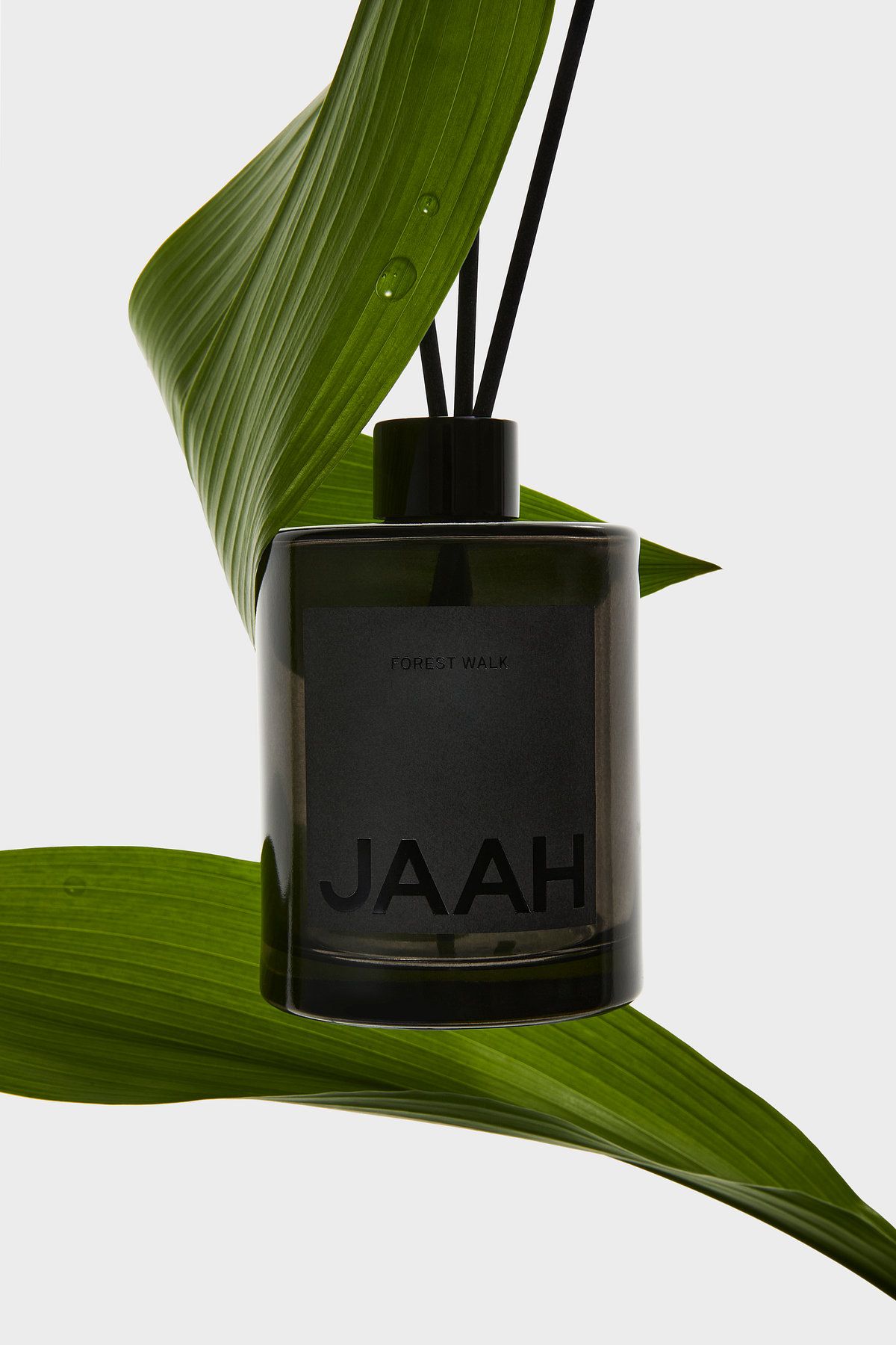 자아(JAAH) 디퓨져_포레스트 워크 300ml_포레스트 워크 300ml