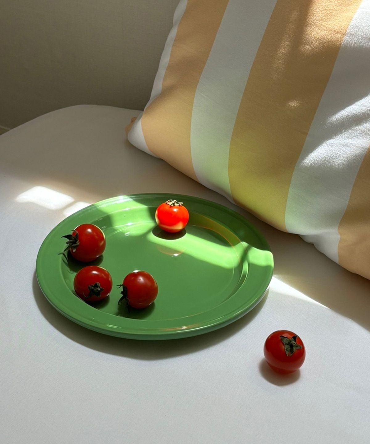 앨리건트 테이블(ELEGANT TABLE) 비비드컬러 플랫 플레이트 8color 2p선물세트
