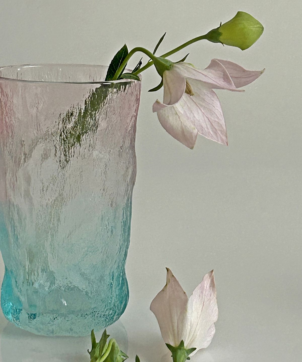 앨리건트 테이블(ELEGANT TABLE) 피어리 투톤 글라스 4종 2P선물세트