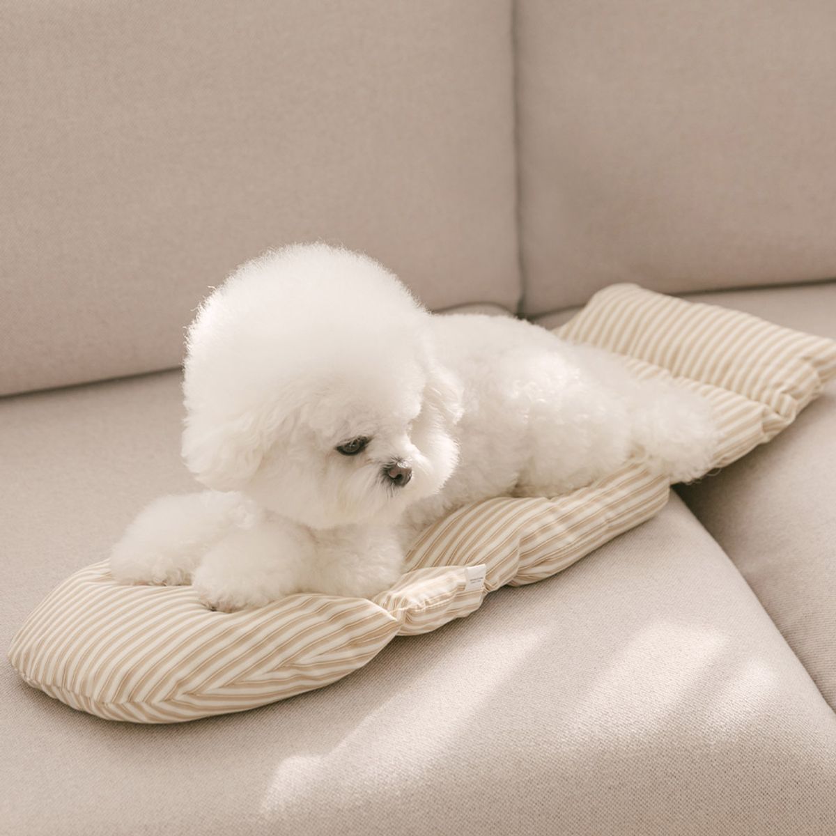 펫츠랜드(PETSLAND) 뉴스너그슬링백 이너쿠션세트 M-L
