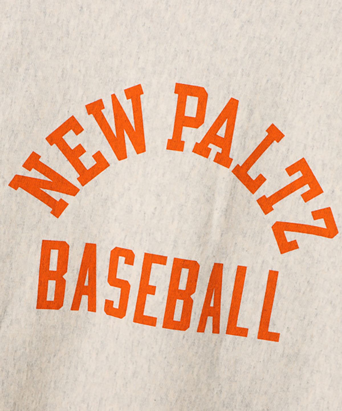 챔피온(CHAMPION) [True To Archives] 2ND NEW PALTZ 기모 스웨트셔츠 Silver Grey