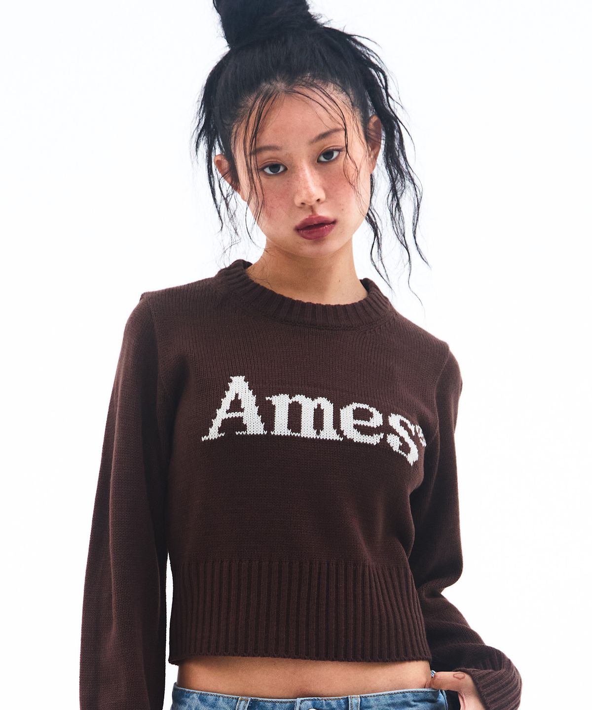 아메스 월드와이드(AMES-WORLDWIDE) BASIC PULLOVER KNIT BROWN