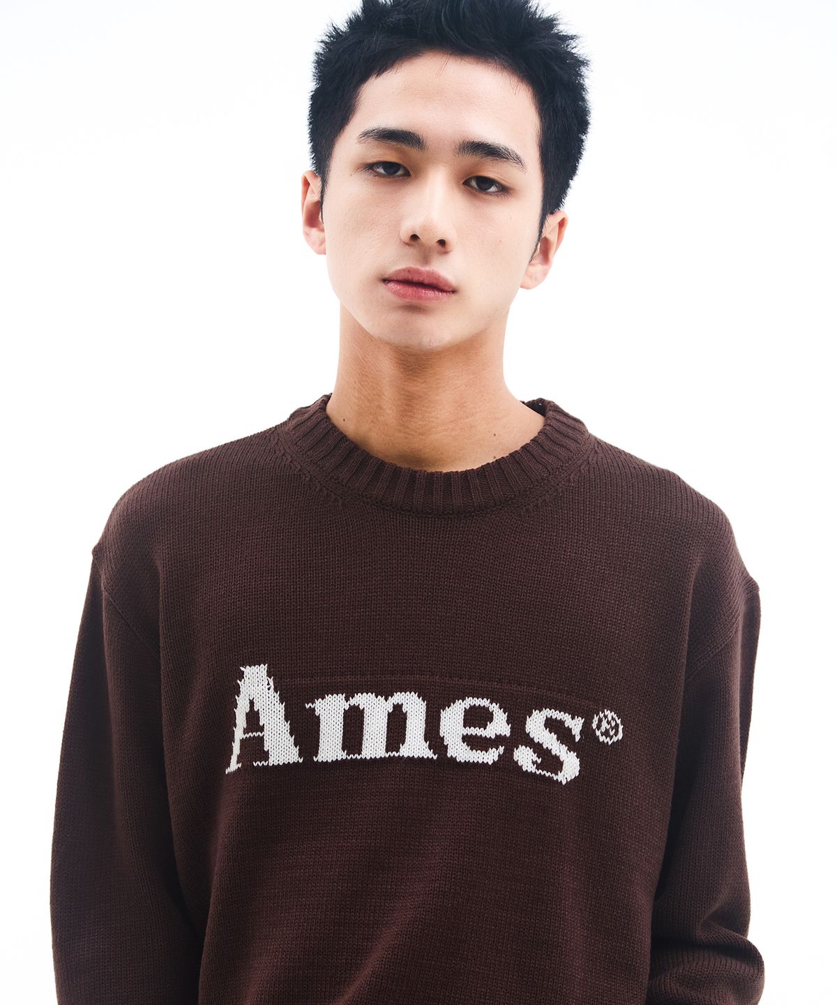 아메스 월드와이드(AMES-WORLDWIDE) BASIC PULLOVER KNIT BROWN