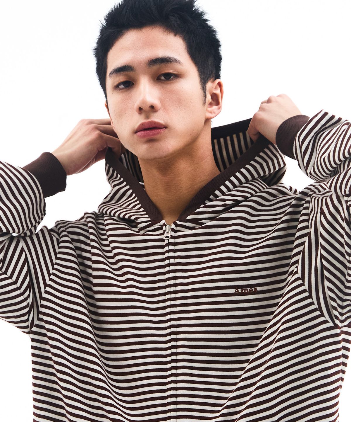 아메스 월드와이드(AMES-WORLDWIDE) STRIPE HOODIE ZIP UP BROWN