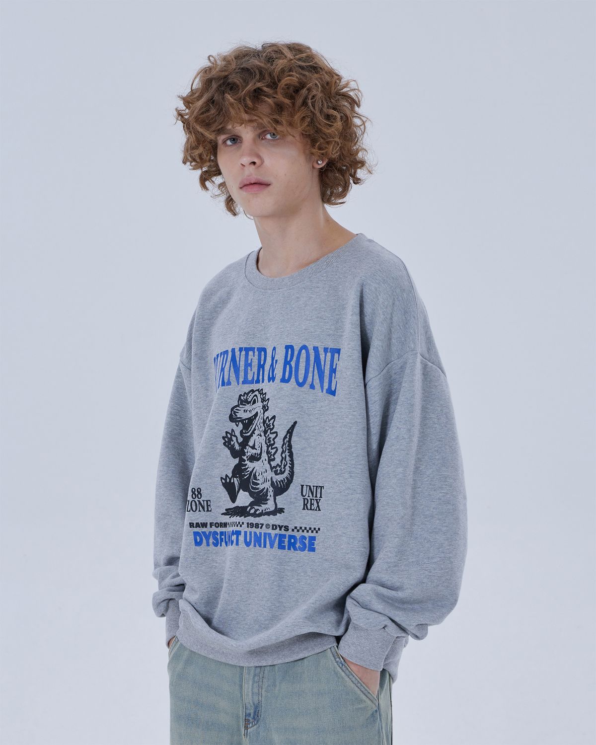 디스펑트(DYSFUNCT) BURNER & BONE SWEATSHIRT (GRAY)