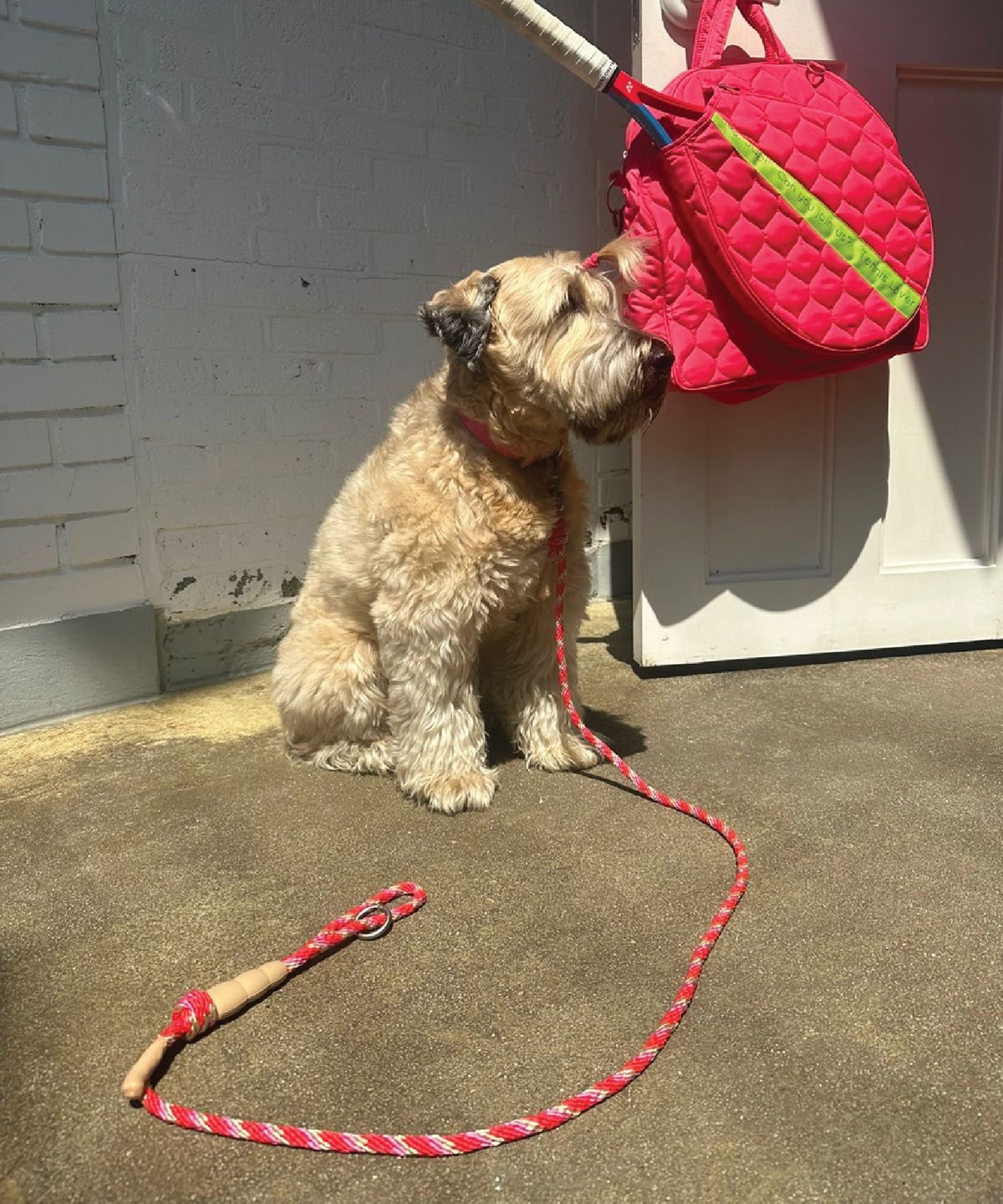 헤이쥬드(HEYJUD) JUD Single Leash Set  쥬드 싱글 리드줄 세트 _ 리드줄 2타입 (Sera Magenta)