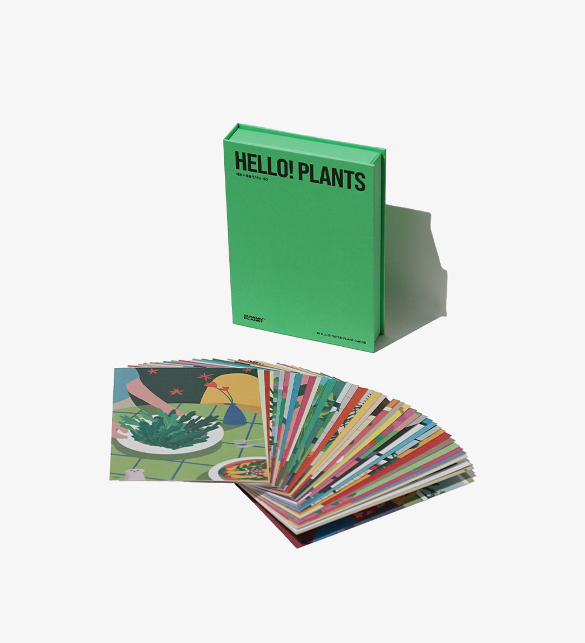 선데이플래닛47(SUNDAYPLANET47) HELLO! PLANTS