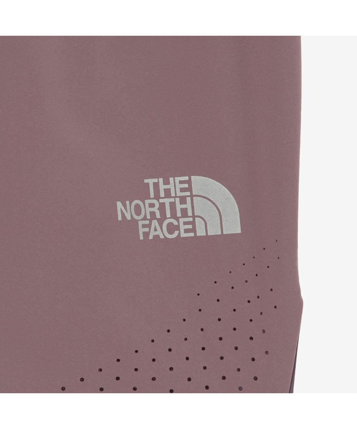 노스페이스(THE NORTH FACE) NS6NR51D 남성 페이서 쇼츠 DEEP PURPLE
