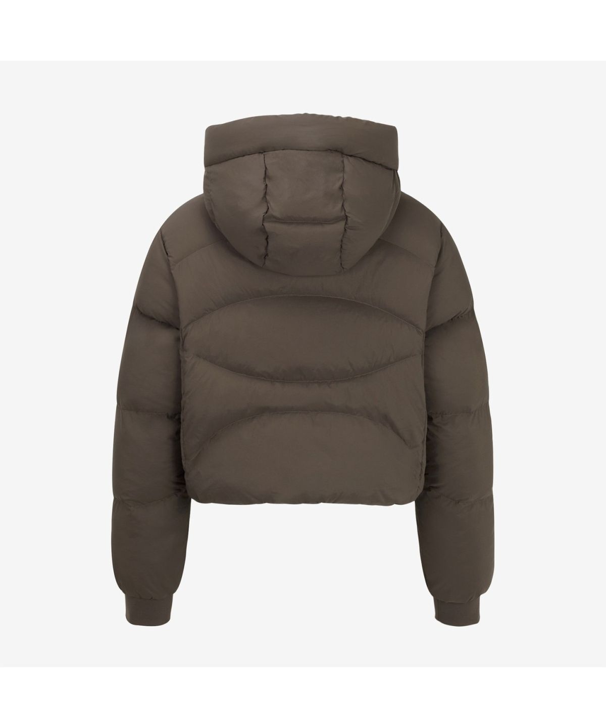 노스페이스(THE NORTH FACE) NJ1DR82C 여성 스포츠 하이브리드 다운 자켓 BROWN