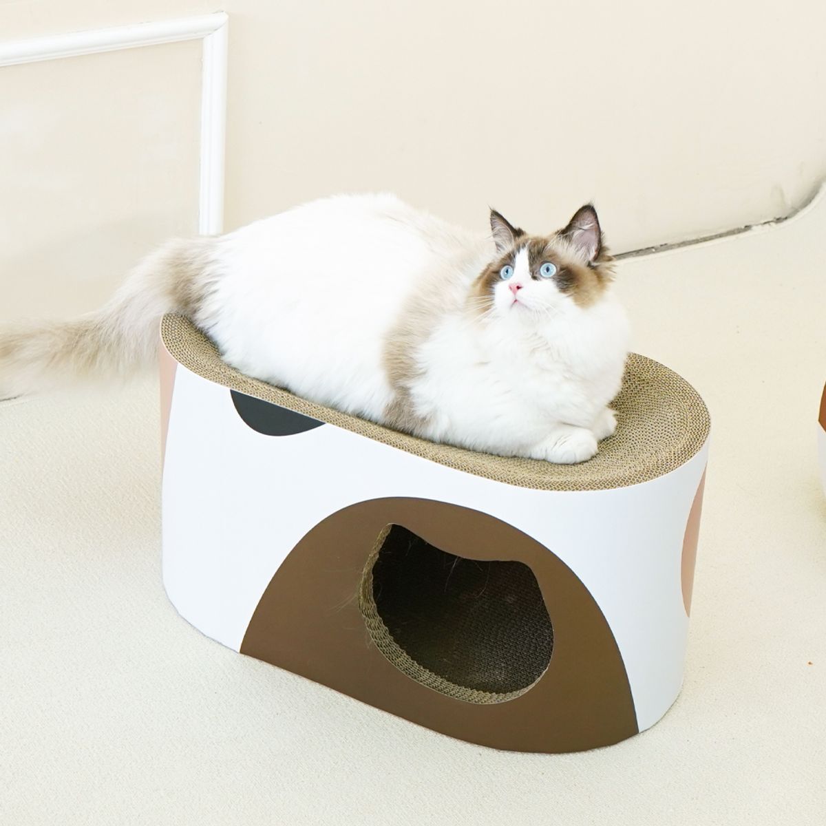 개과천선(GAEKWACHEONSUN) 어몽드 루베크 고양이 스크래쳐 하우스