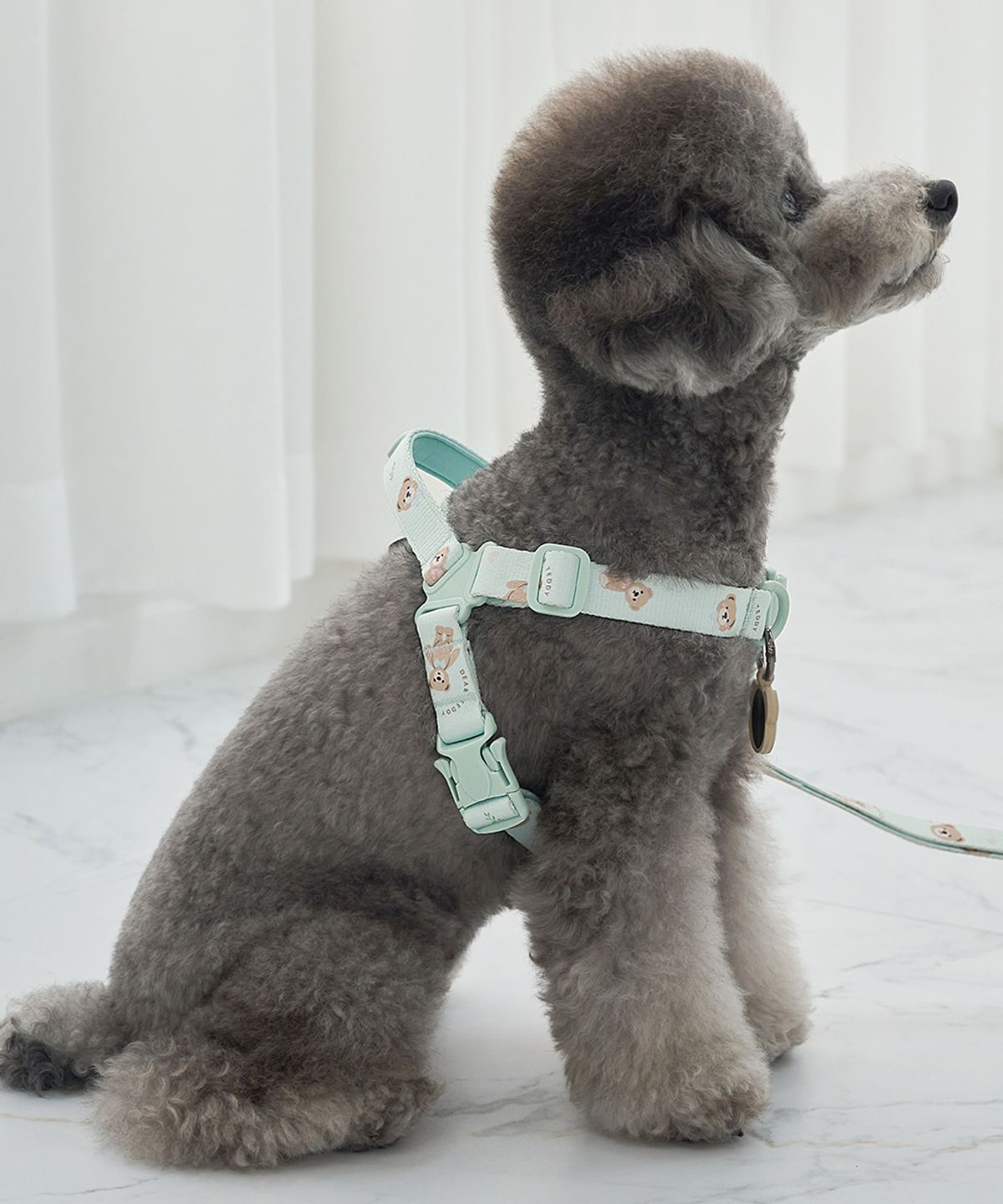 베일리(BAILEY) 강아지 산책 테디 워키 하네스