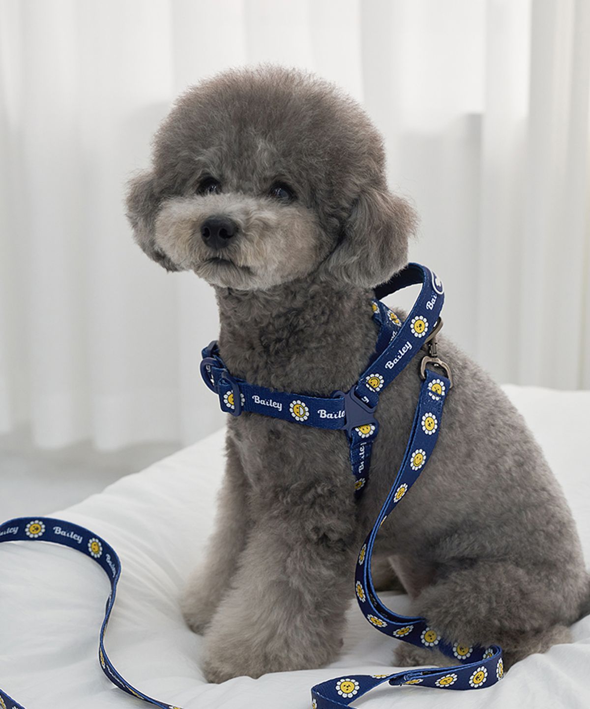 베일리(BAILEY) 강아지 산책 데이지 워키 하네스