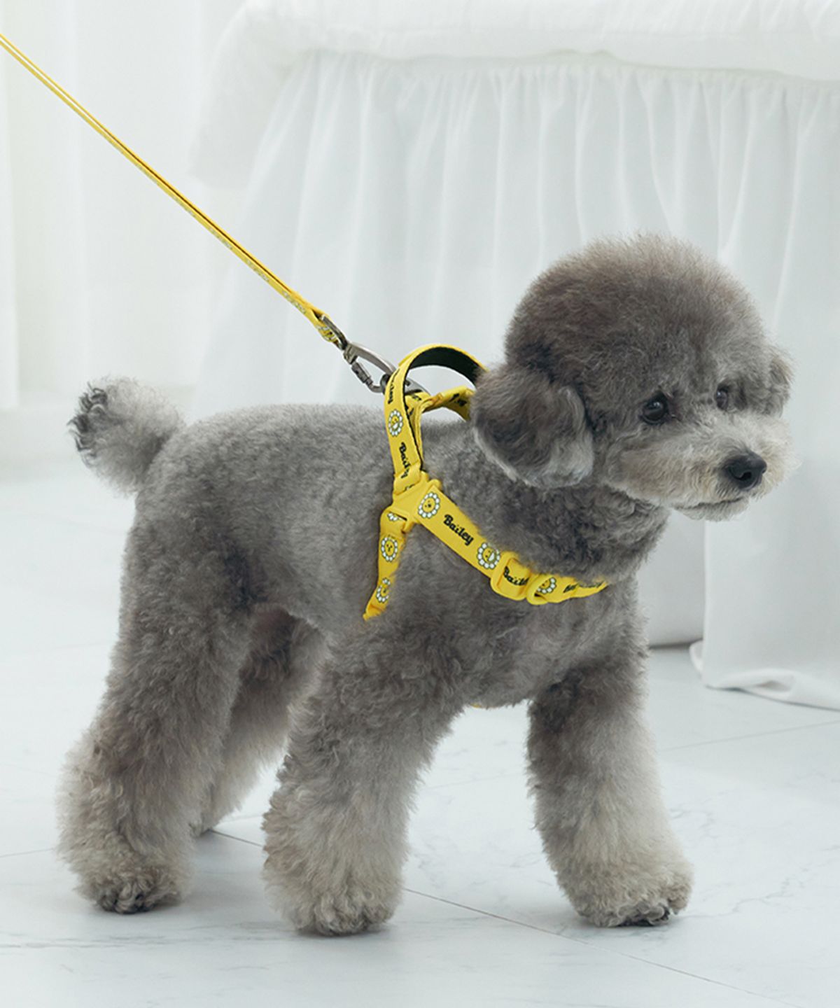베일리(BAILEY) 강아지 산책 데이지 워키 하네스