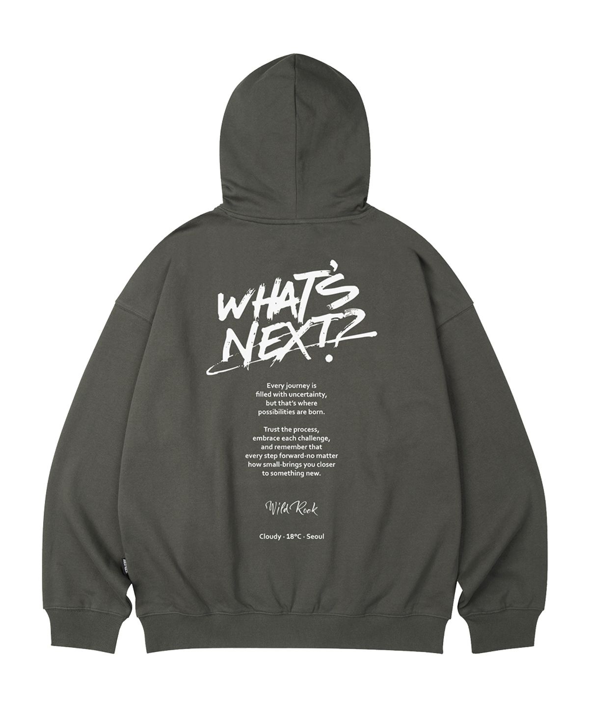 와일드락(WILDROCK) Whats Next 오버핏 후드_10 COL