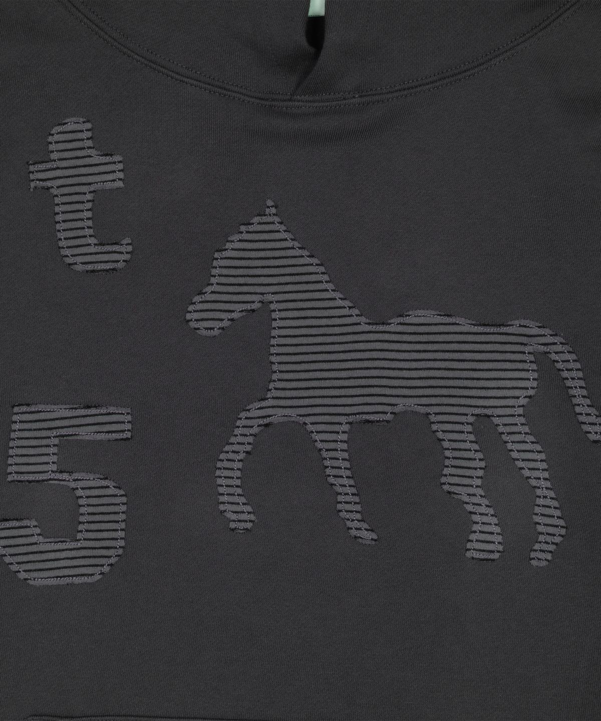 더콜디스트모먼트(THECOLDESTMOMENT) TCM stripe horse hoodie (charcoal)