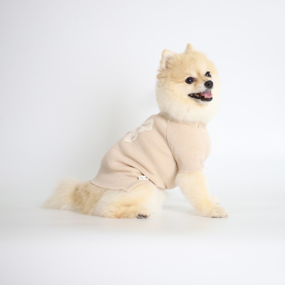 몽루(MONLOUP) 페어리테일