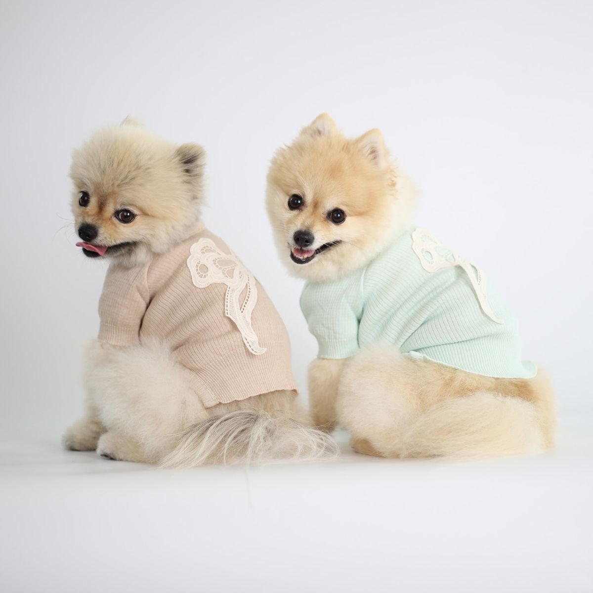 몽루(MONLOUP) 페어리테일