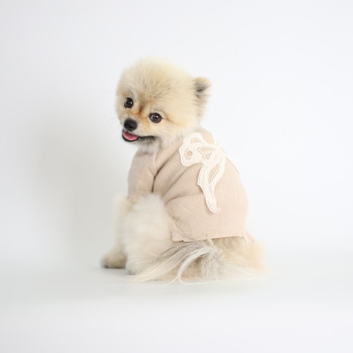 몽루(MONLOUP) 페어리테일