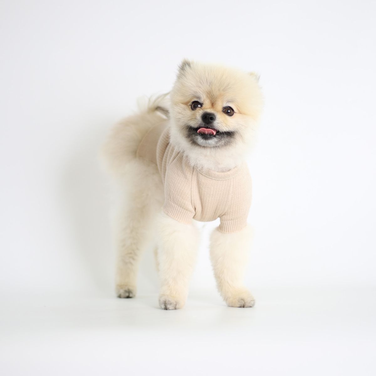 몽루(MONLOUP) 페어리테일