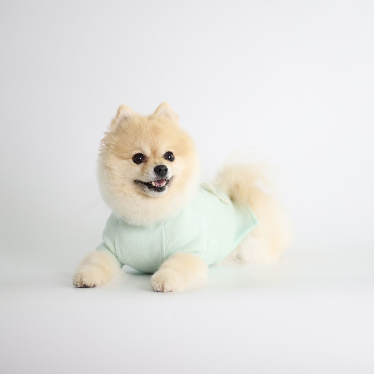 몽루(MONLOUP) 페어리테일