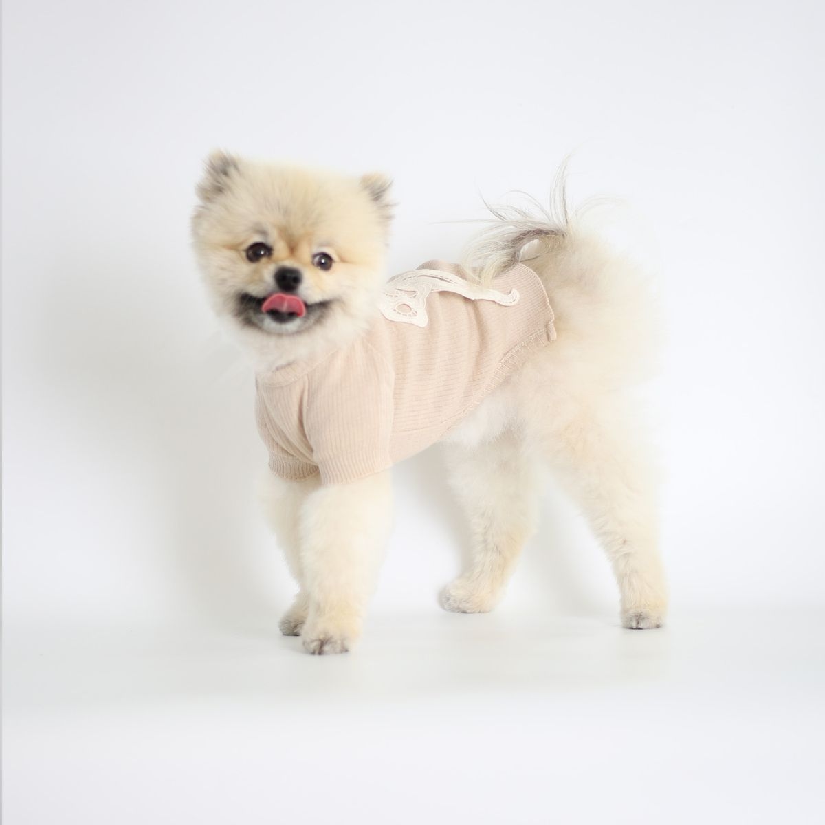 몽루(MONLOUP) 페어리테일