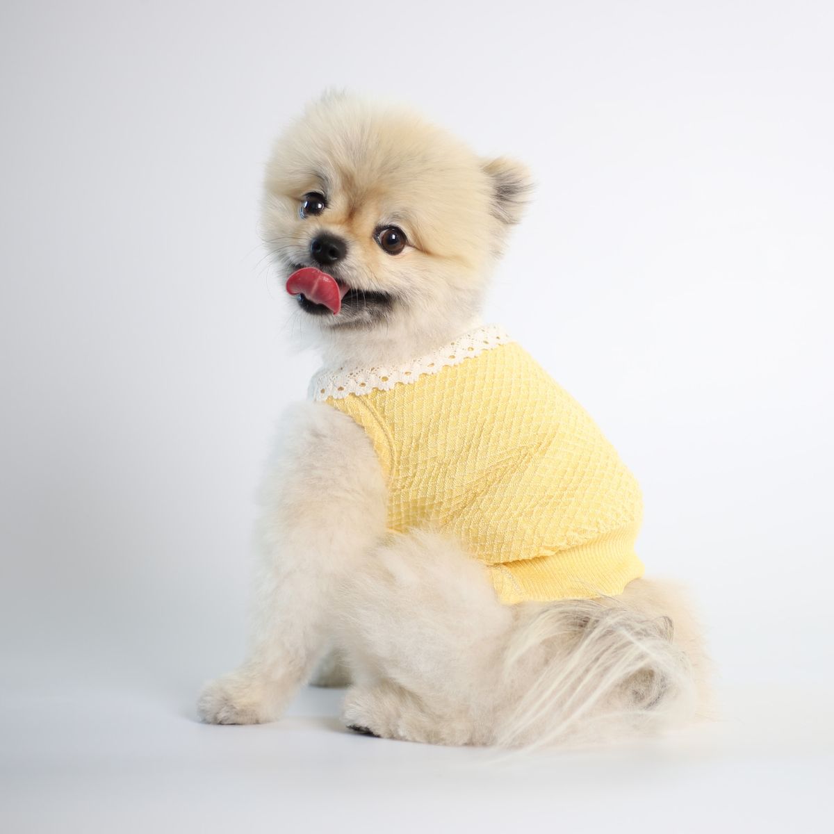 몽루(MONLOUP) 허그 미