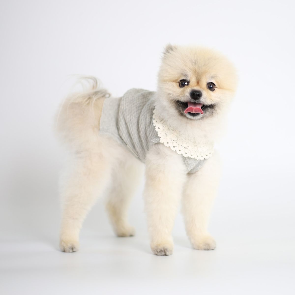 몽루(MONLOUP) 허그 미