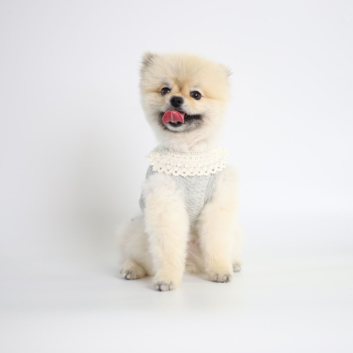 몽루(MONLOUP) 허그 미
