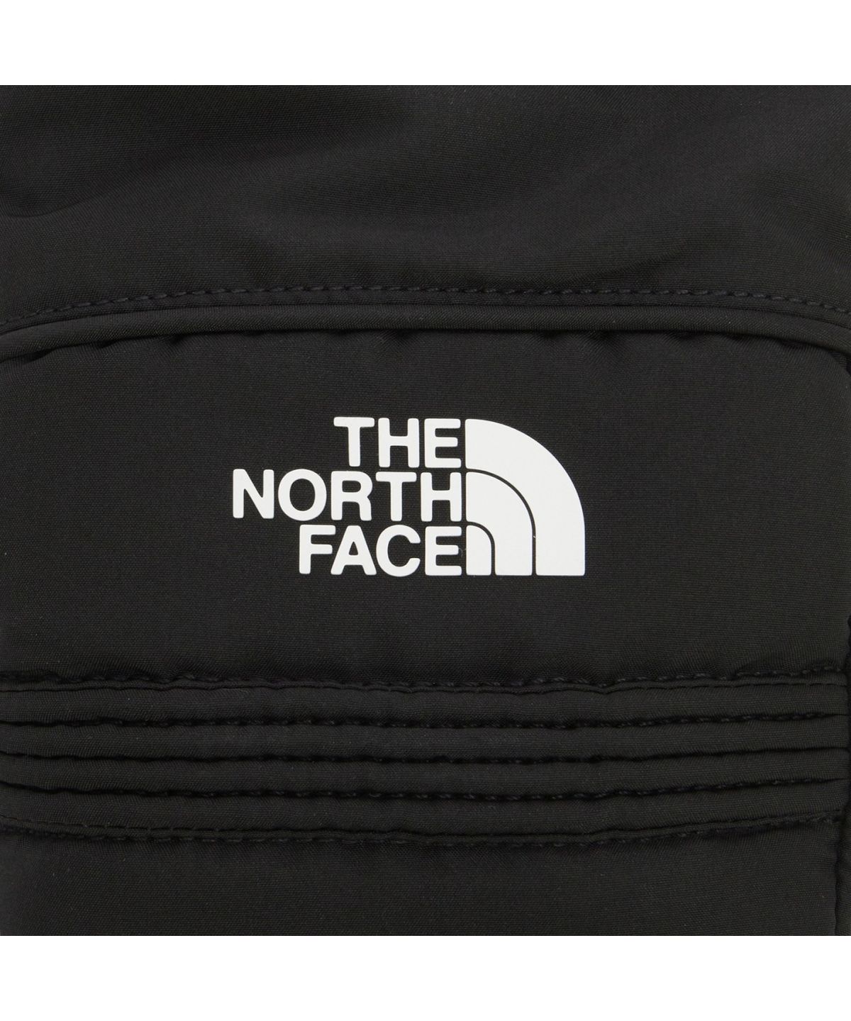 노스페이스(THE NORTH FACE) NJ3SR81A 우먼스 몬타나 스키 미트 BLACK