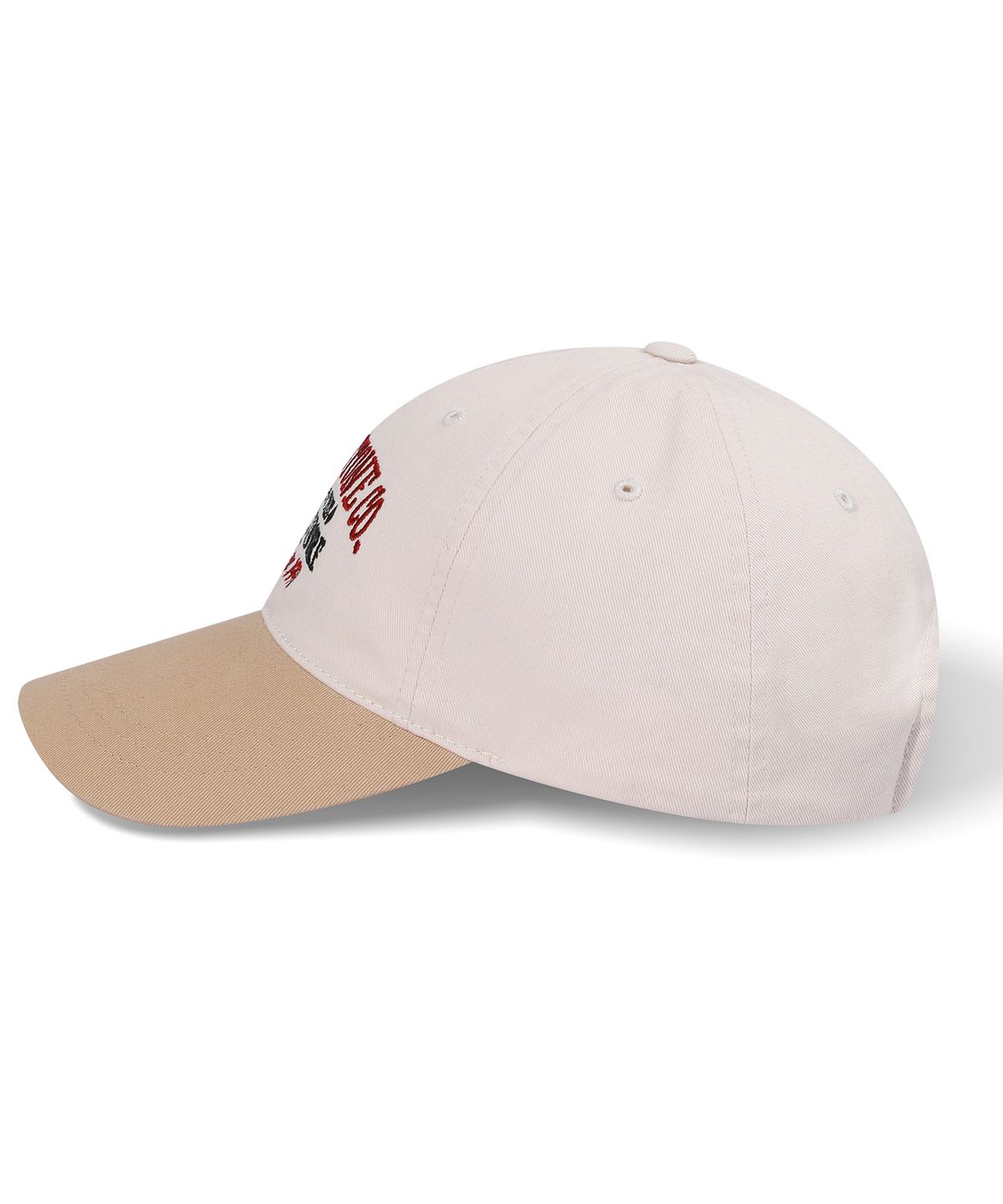 볼컴(VOLCOM) 스노우 앤 서프 볼캡(샌드)