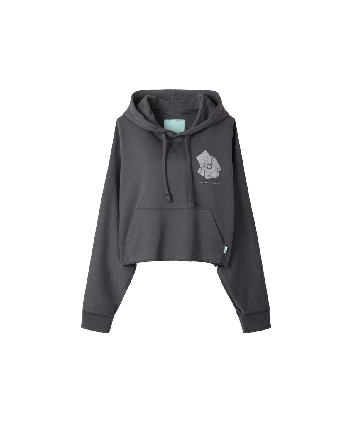 래코드(RECODE) (RE;CODE × OBJECTS IV LIFE by Daniel Arsham) Cropped Hoodie R0TAX25223GYX