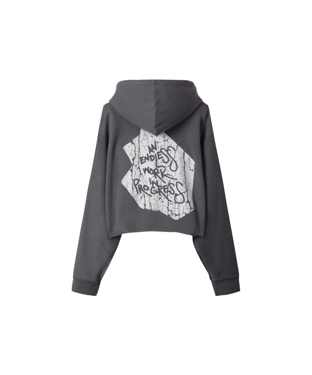 래코드(RECODE) (RE;CODE × OBJECTS IV LIFE by Daniel Arsham) Cropped Hoodie R0TAX25223GYX