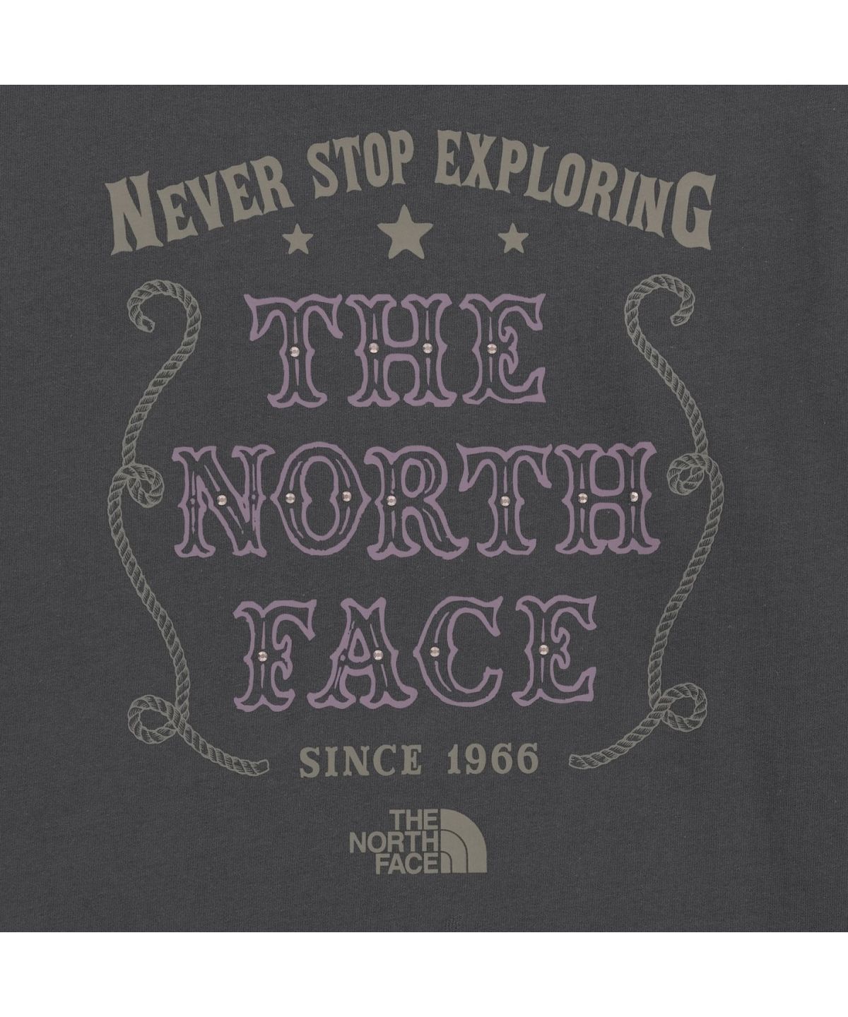 노스페이스(THE NORTH FACE) NT7TR51J 빈티지 긴팔 라운드티 DARK_GRAY